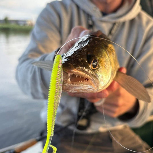 Zeck Barsch Alarm Dropshot Nose Hook size 6