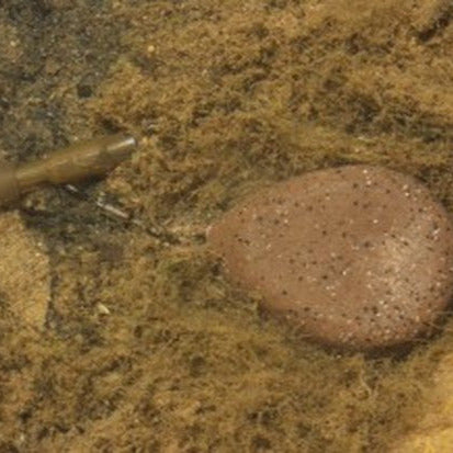 Korda Flat Pear Swivel