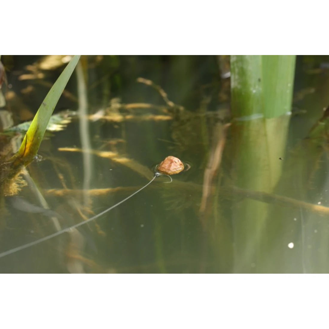 Korda Kruiser Control Line 8lb - 0.28 mm