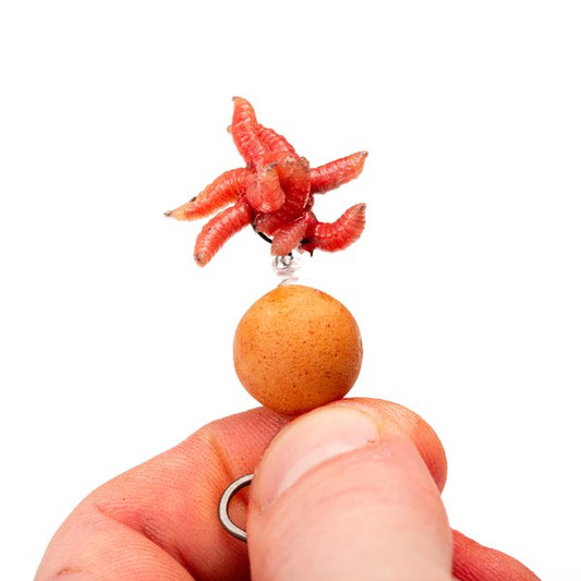 Nash - Maggot Screw - 5pcs