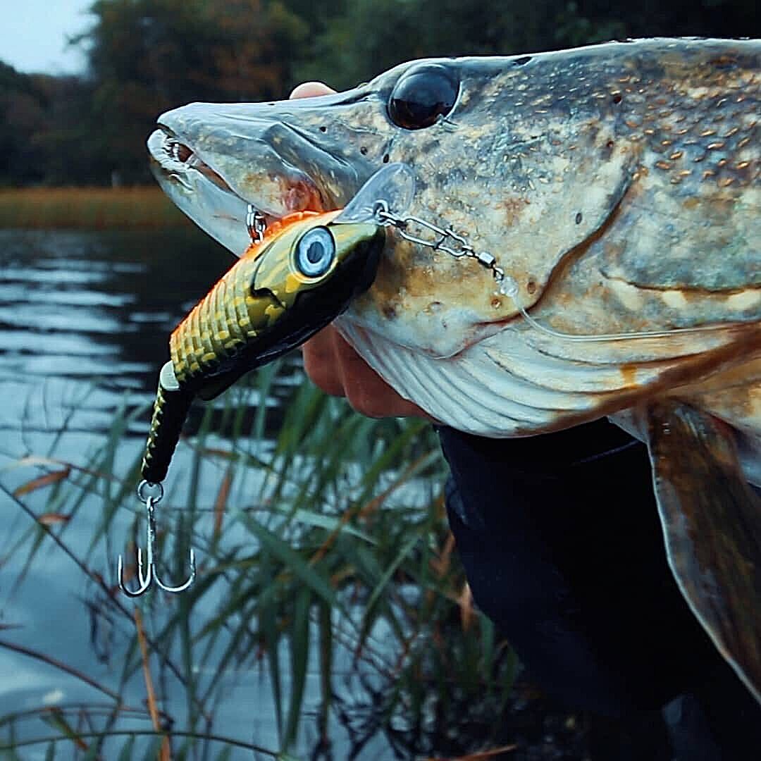 Spro RIPPLE PRO HARDLURE PERCH 14CM 41G