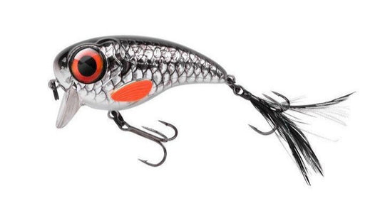 Spro - Fat Iris Hardlure 8cm 40g - Shining Roach
