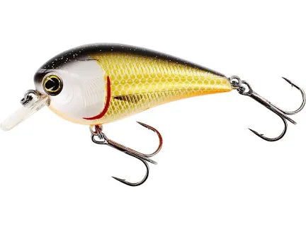 Westin bassbite SQUAREBILL floating 6cm official Roch